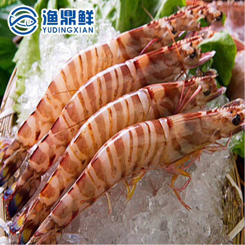 东海舟山超大野生竹节3-4头