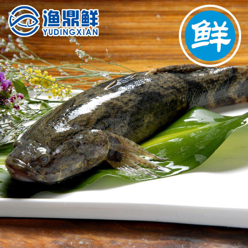2斤/条虎头鱼呆子鱼沙塘鳢土步鱼虎头鲨