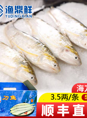 2024年冰鲜刀鱼3.5两/条4条装