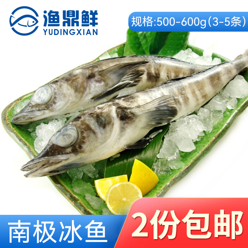 南极冰鱼条）白冰鱼营养丰富鲜嫩