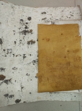 桦树皮天然树皮白色树皮树皮材料白桦皮真树皮工艺装饰艺术品装饰