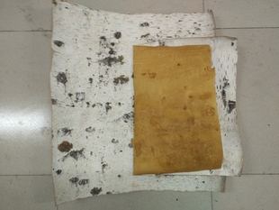 桦树皮天然树皮白色树皮树皮材料白桦皮真树皮工艺装饰艺术品装饰