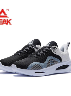 PEAK匹克态极星云2025年低帮时尚男鞋休闲透气健步运动鞋ET24357J