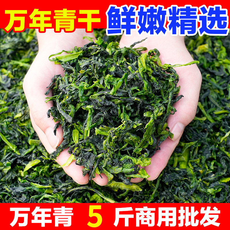 【5斤商用批发】新货万年青干菜脱水蔬菜干青菜橄榄油菜货嫩菜心