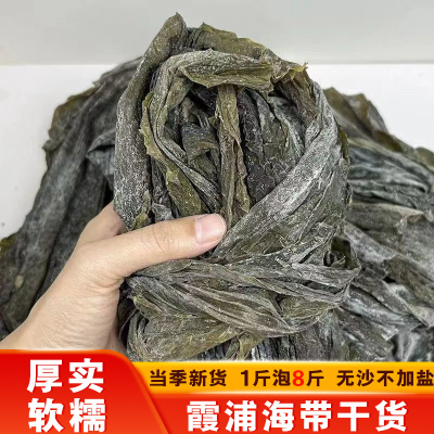 福建霞浦海带散装干货日晒新货厚实软糯干货散装整条海带干炖汤