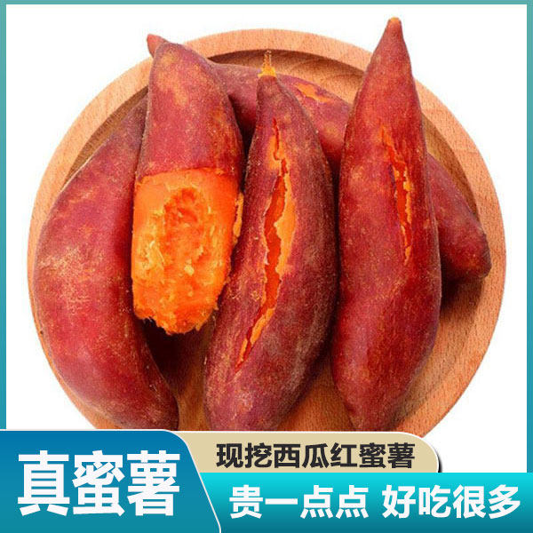 烟薯小鲜地瓜地瓜包邮蜜烟薯高产量黄心食用苕河池红薯种子苕