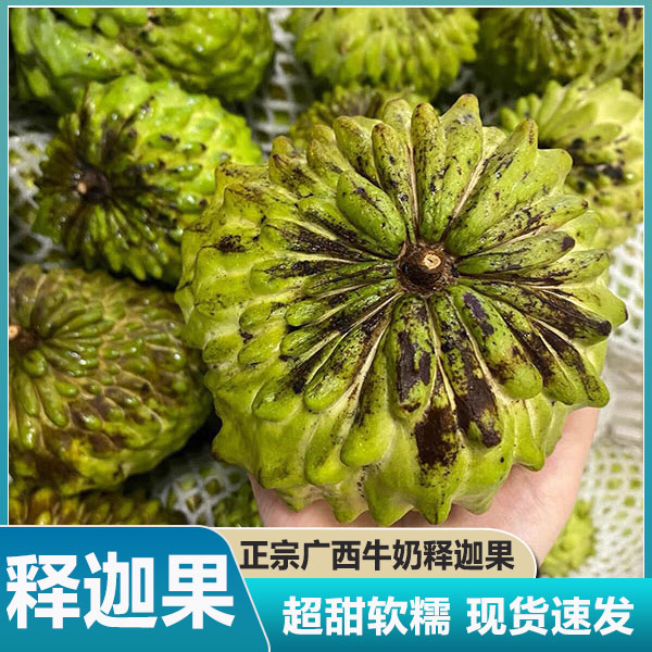 广西凤梨凤梨释迦果新鲜水果牛奶释迦番荔枝佛头摩尼果当季包邮