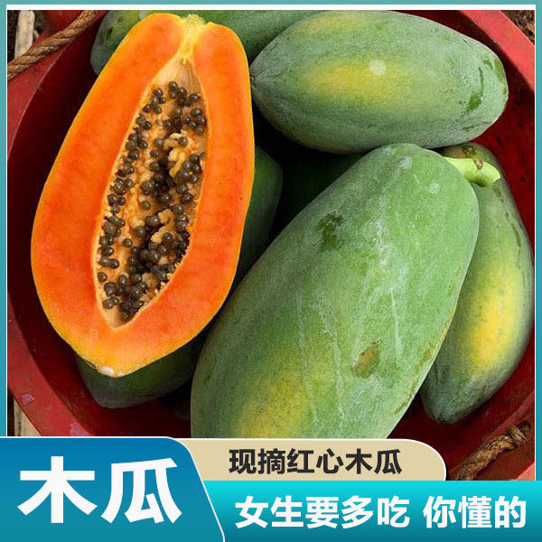 木瓜农家树上熟红心木瓜5斤水果新鲜夏威夷红肉冰糖牛奶木瓜包邮