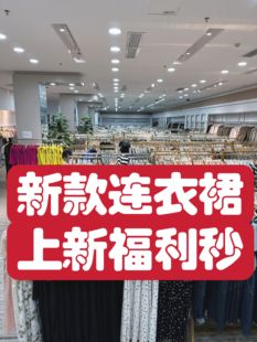 211—240号 福利连衣裙 不退不换 小蕾精品直播福利专拍799