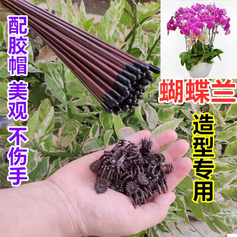 蝴蝶兰支架花夹子支撑杆花卉专用支柱藤蔓架铁丝造型园艺固定盆栽