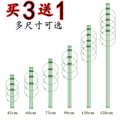 架子爬藤月季室内外花卉支撑杆