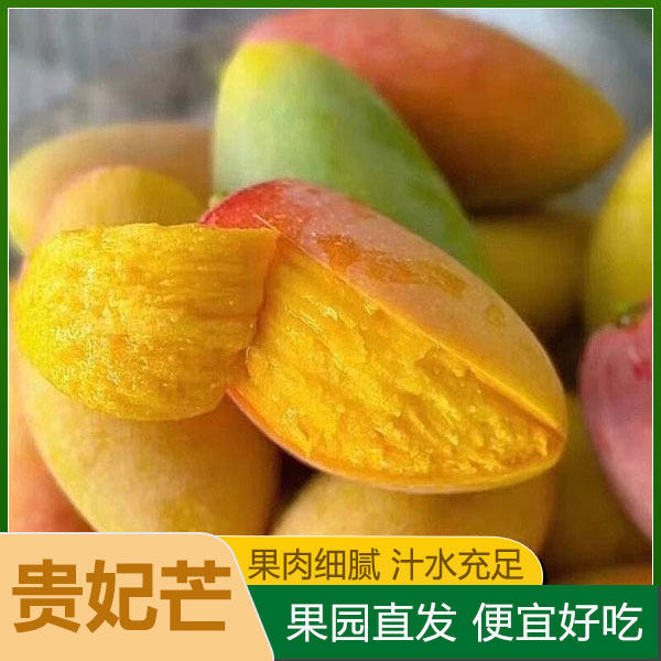 广西贵妃芒香甜芒果新鲜水果当季整箱树上熟红金龙玉青煌台甜芒