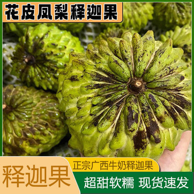 释迦果新鲜番荔枝5斤水果凤梨牛奶佛头果林檎释迦摩尼果孕妇鲜果