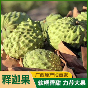 广西本地林檎凤梨释迦果大个番荔枝佛头果牛奶释迦摩尼果整箱