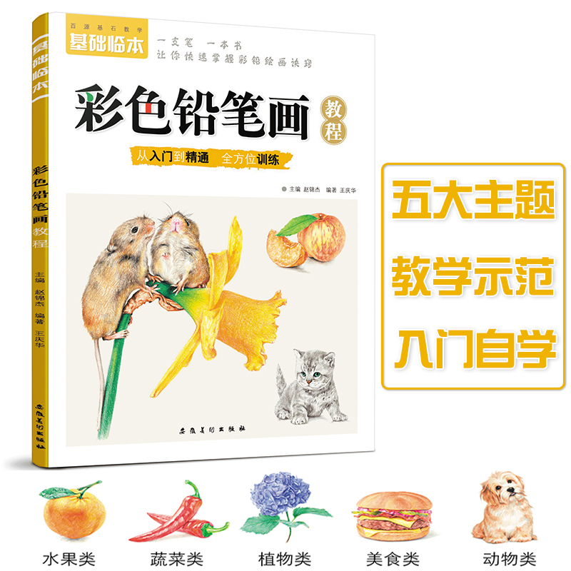 新书 彩色铅笔画教程 基础临本 彩铅画动物蔬果从入门到精通美术培训教材手绘插画素描植物花卉色铅笔技法零基础成人自学绘画教材