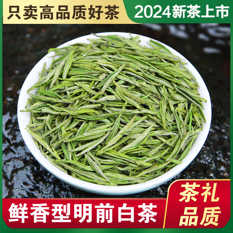 正宗2024白茶特级送礼高山绿茶