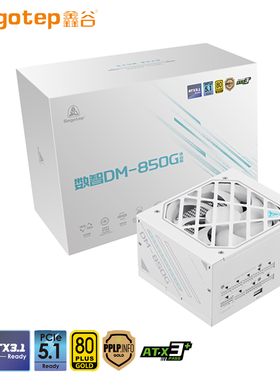 鑫谷数智DM850G冰山版850W金牌全模组1000W台式750W电脑主机电源