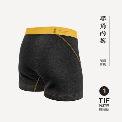 J480高端品牌logo提案平角内裤VI样机模板psd智能贴图mockup