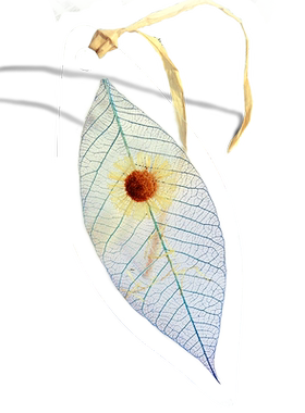 福禄考三色堇蜗牛原创叶脉小菊花