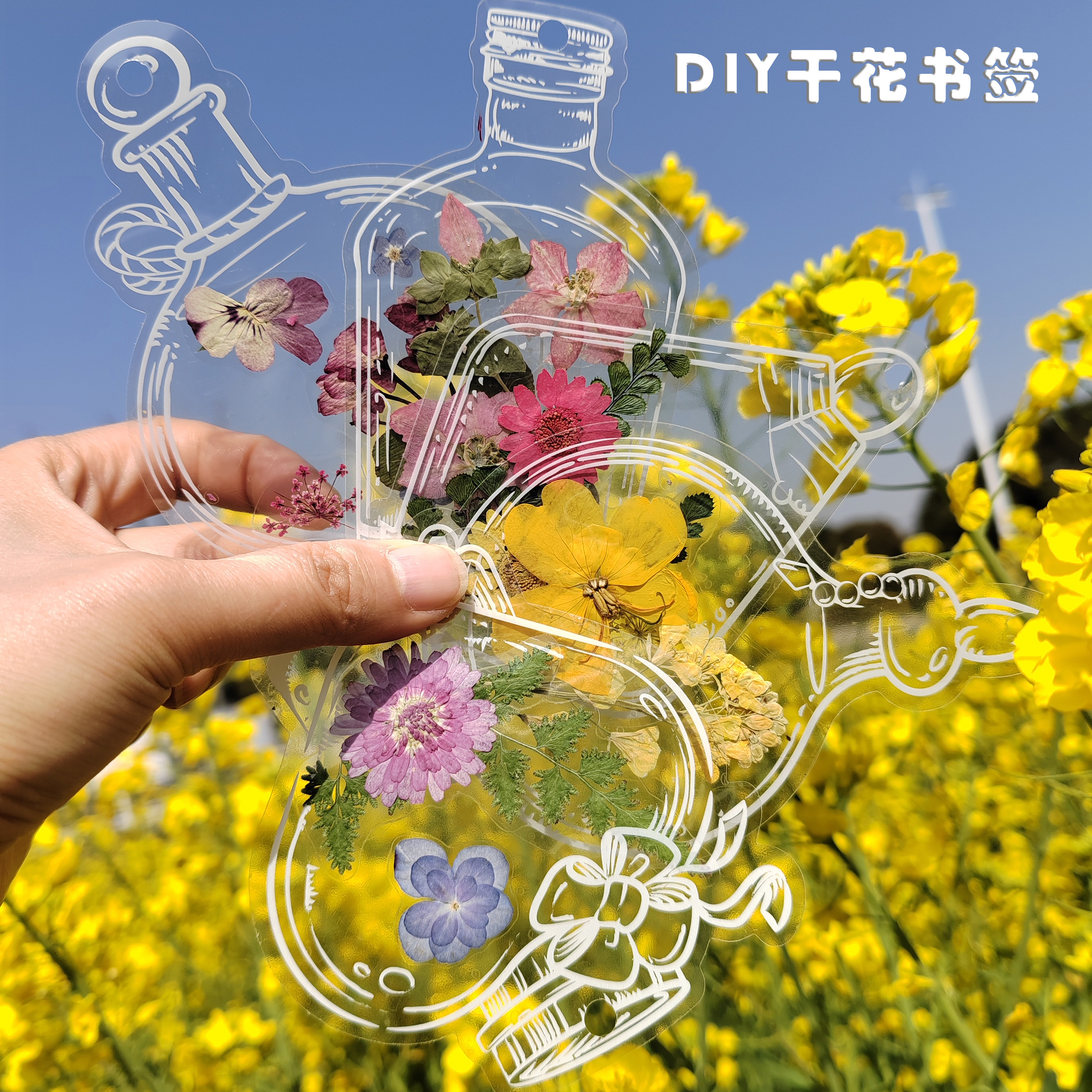 真花草树叶 自粘书签制作简单 治愈减压