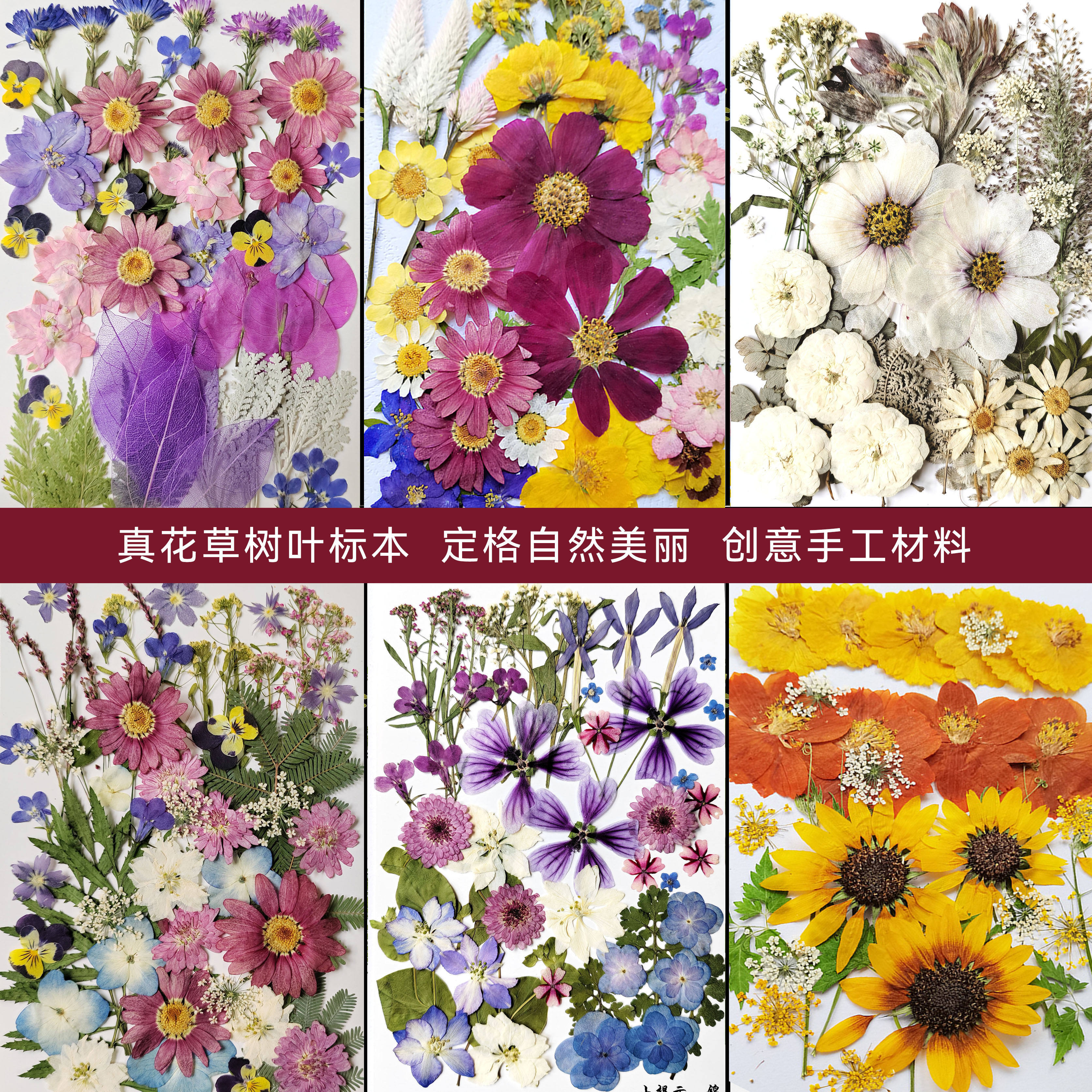 diy干花材料包押花滴胶植物标本真花书签压花相框装饰花元宵灯笼