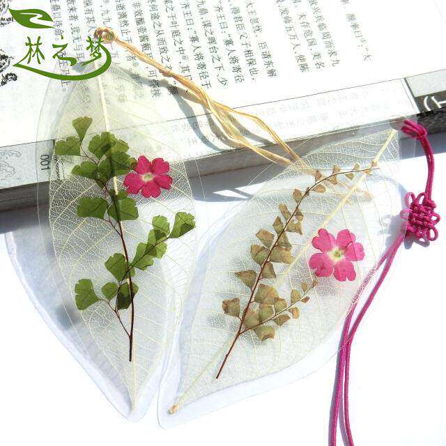 花草叶脉书签森系水草蝶舞红草花心飞扬金毛菊叶脉押花创意