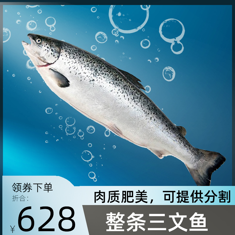 三文鱼一整条新鲜冷冻智利进口即食刺身12-14斤/条可分割三文鱼排