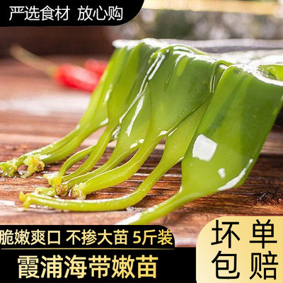 嫩苗特产新鲜袋装凉拌下酒菜海带