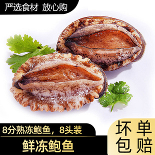 品鲜猫大连鲍鱼鲜活大个冻鲍鱼400g 速冻8头深海鲍鱼海鲜水产特产