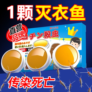 衣鱼虫杀虫剂家用室内非无毒诱捕盒衣蛾专用药灭杀鱼衣虫的杀虫药