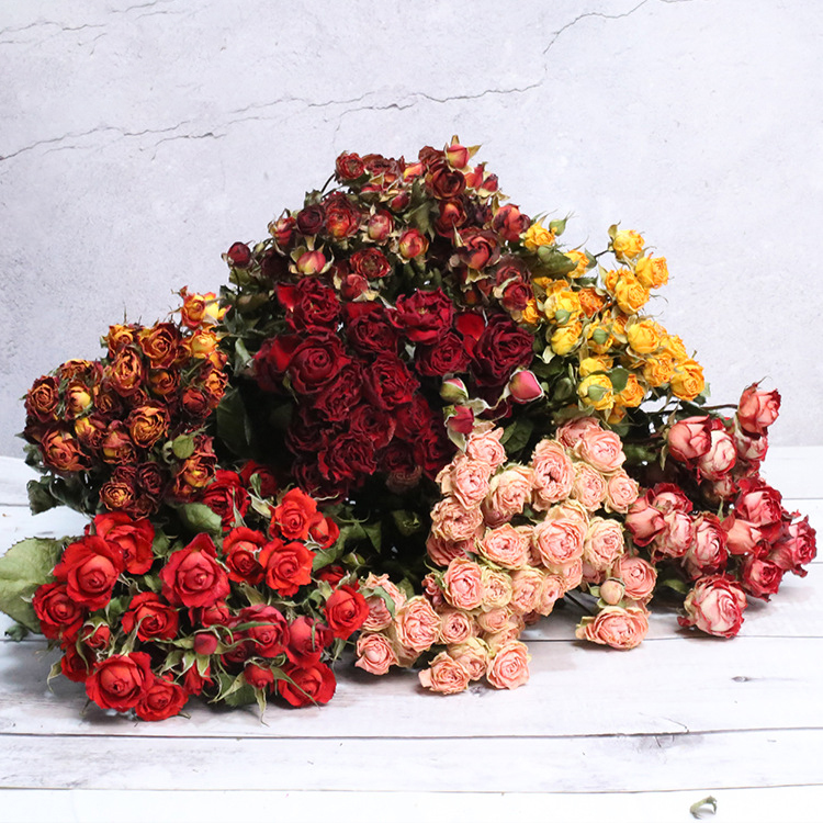 蔷薇干花花束价格 蔷薇干花花束图片 星期三 蔷薇干花花束价格 蔷薇干花花束图片 星期三