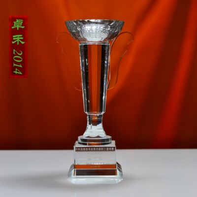 大奖杯 水晶奖杯定制 卓禾公司 制作个性奖杯奖品 现货奖杯定制