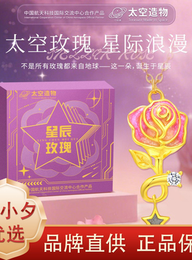 中国航天陨石星辰玫瑰项链百搭款
