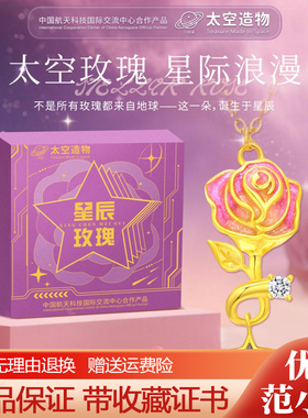 太空造物星辰玫瑰项链限定款生日