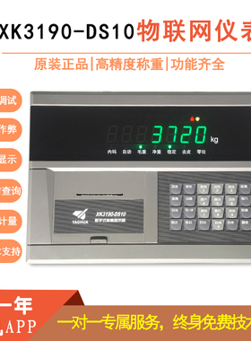 耀华XK3190-DS10P物联网称重显示器打印仪表头地磅称重打印高精度
