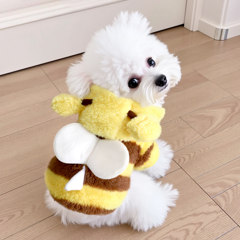 狗狗秋冬衣服小型犬冬天保暖加绒冬装蜜蜂变身装可牵引外出遛狗用