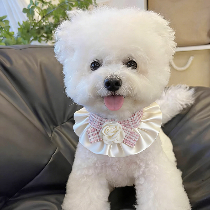 狗狗口水巾围脖小狗围兜小型犬可爱高颜值粉色山茶花口水兜拍照用