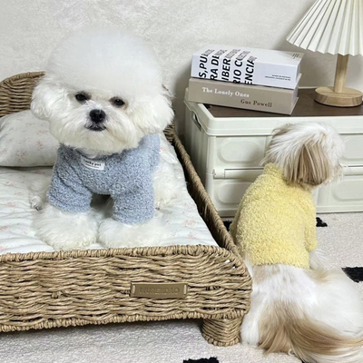 比熊衣服2025新款冬狗狗保暖冬装马尔济斯博美冬季防脏可牵引绒衣