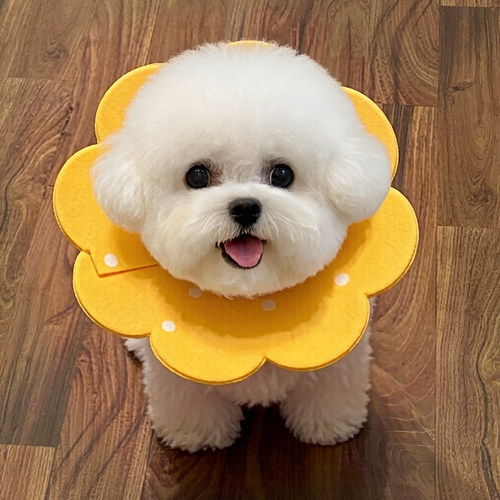 伊丽莎白圈防舔狗狗小型犬舒适圈术后宠物保护项圈太阳花款宠物圈