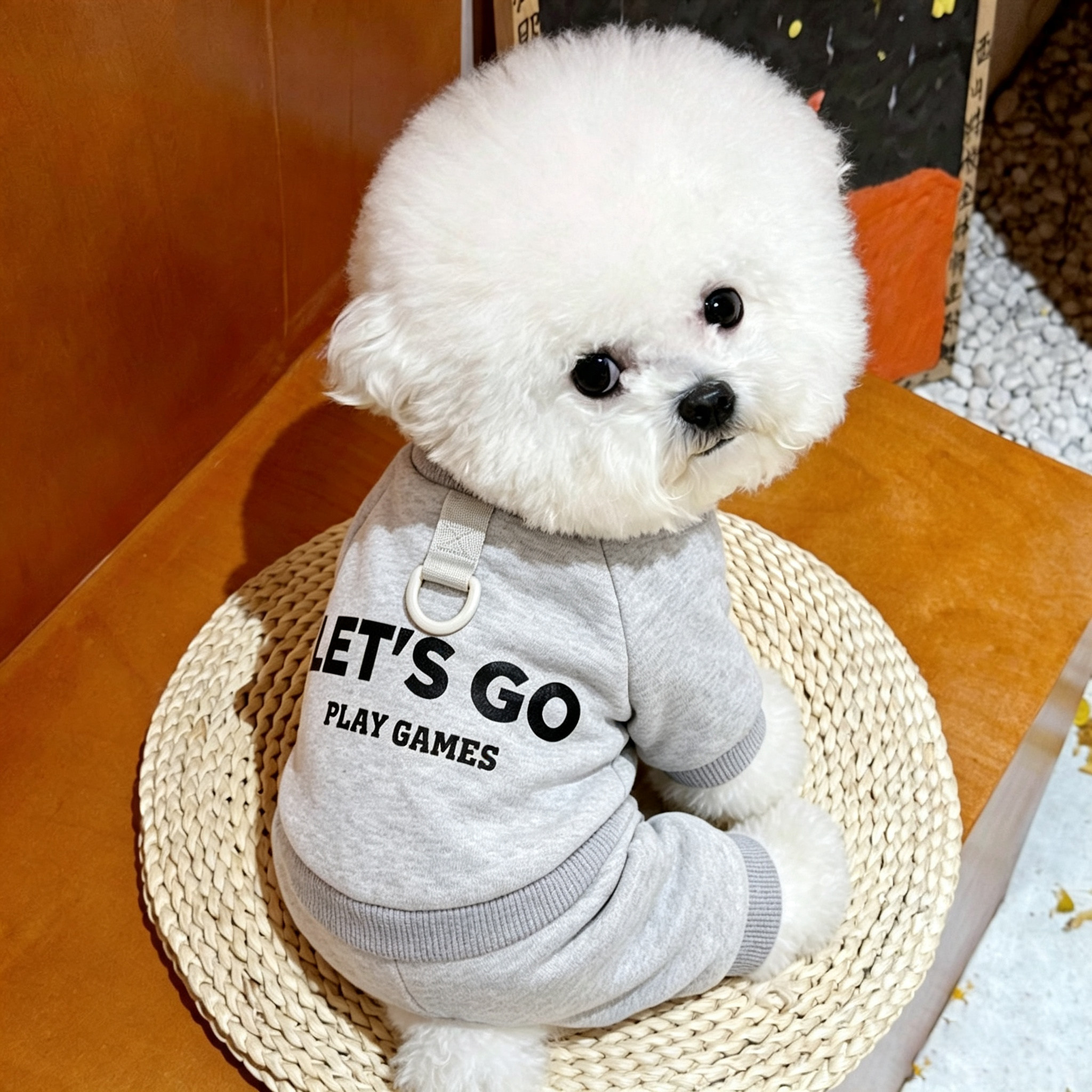 狗狗衣服比熊秋冬泰迪小型犬冬装高颜值运动服可牵引四脚衣外出服