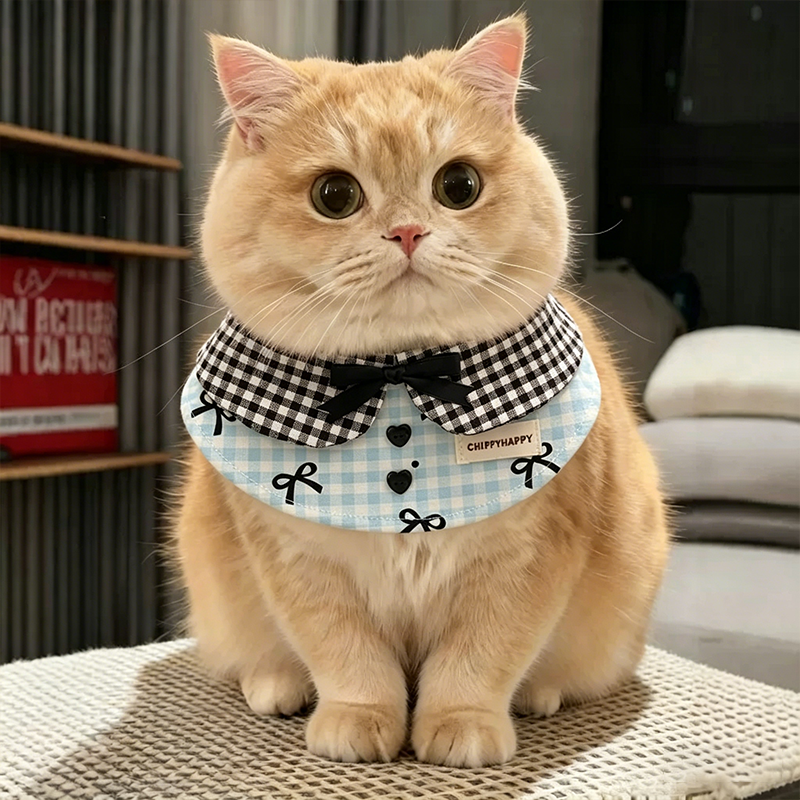 猫咪口水巾围兜小猫围脖脖颈小配饰金渐层蝴蝶结方格纹蓝黑色围嘴