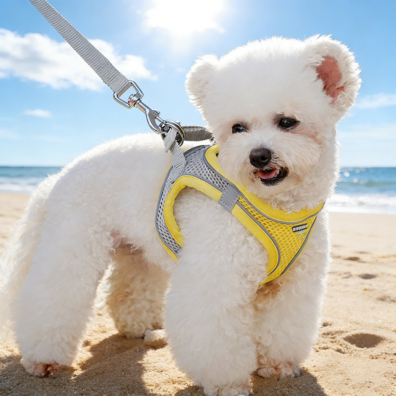 狗狗用牵引绳小型犬外出遛狗绳防挣脱背心式舒适透气胸背带狗链子