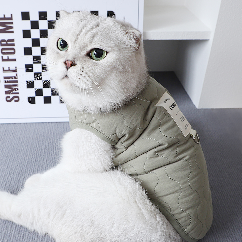 小猫咪冬天外出可牵引棉衣