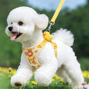 狗狗牵引绳小型犬背心式胸背带狗绳防爆冲工字型幼犬专用狗链狗绳