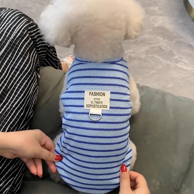 宠物泰迪可爱透气服比熊狗狗衣服