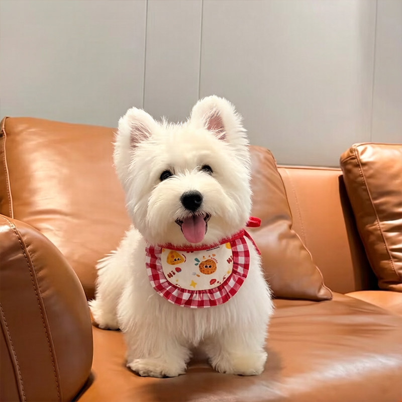 狗狗口水巾围脖小狗围兜小型犬高颜值博美约克夏外出拍照用口水兜