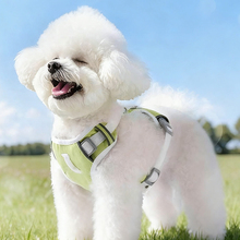 狗狗牵引绳小型犬胸背带小狗遛狗绳背心式泰迪三防绿色防勒脖比熊
