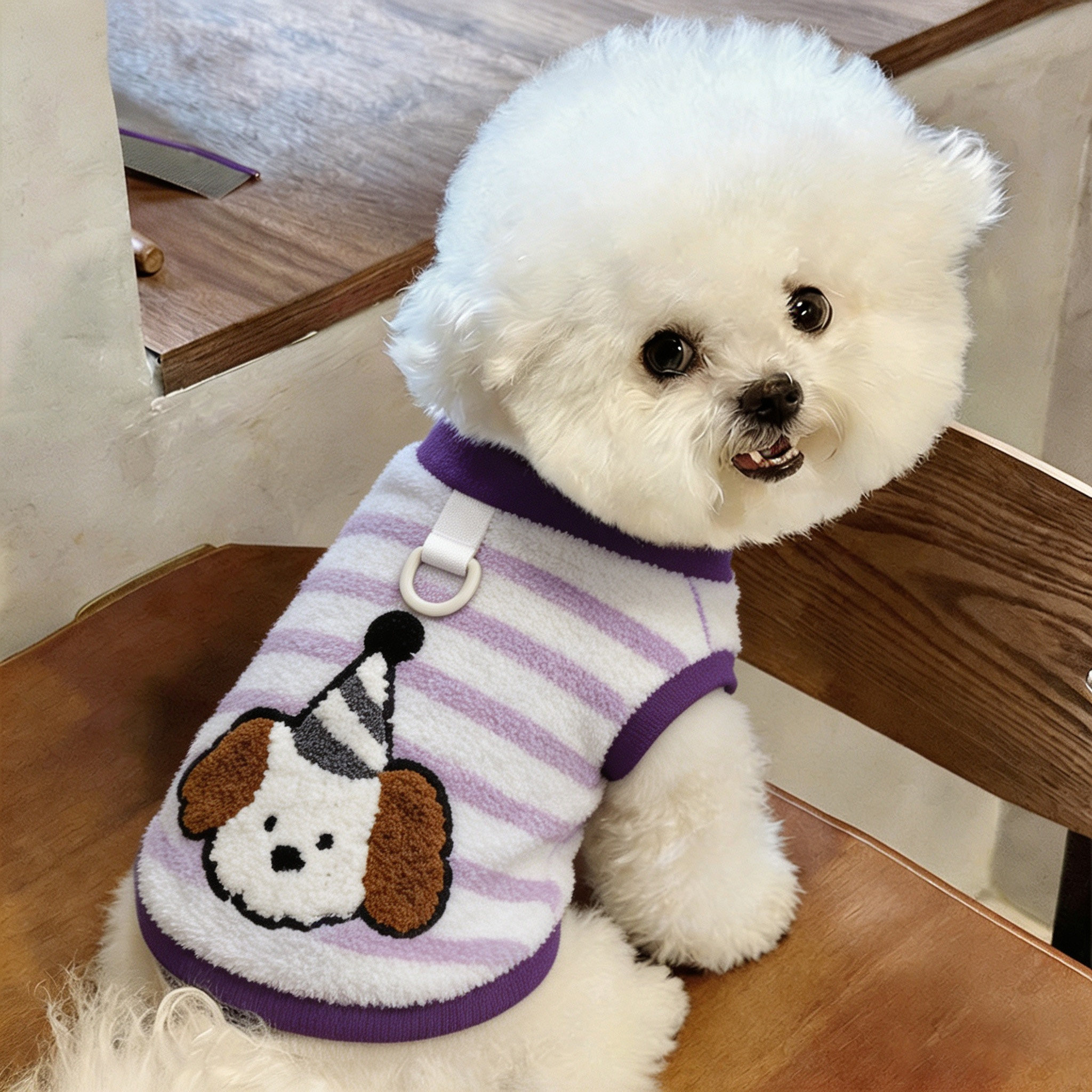 狗狗衣服约克夏秋冬西高地冬装小狗幼犬高颜值圆领卫衣小型犬宠物图片
