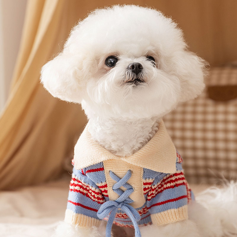 狗狗衣服2025新款冬装小狗冬天外出保暖毛衣泰迪比熊针织套头可爱