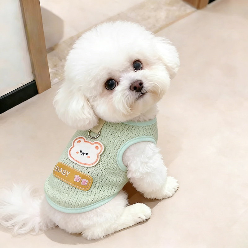 狗狗衣服2026新款春装小型犬夏天高颜值宠物薄款背心带牵引环两脚图片